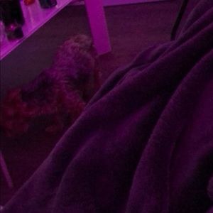 Meet your Posher, Andre